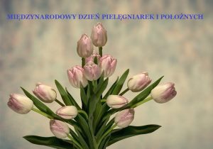 Różowe tulipany międzynarodowy dzień pielęgniarek i położnych